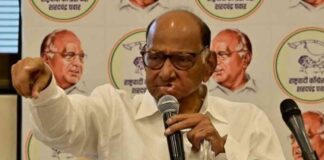 sharad-pawars-ncp-to-decide-on-contesting-municipal-polls-alone-after-thackerays-sena