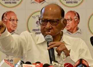 sharad-pawars-ncp-to-decide-on-contesting-municipal-polls-alone-after-thackerays-sena