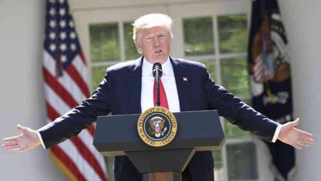 the-misinterpretation-of-birthright-citizenship-by-donald-trump-an-analysis