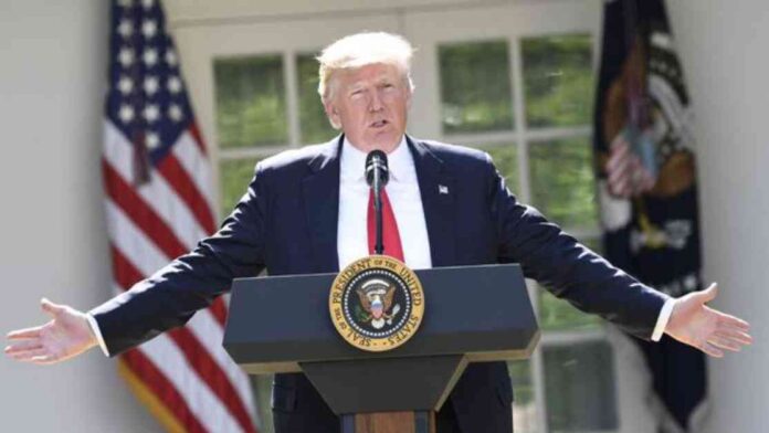 the-misinterpretation-of-birthright-citizenship-by-donald-trump-an-analysis