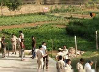 रणथंभौर बाघिन जिसने 2 लोगों को मार दिया, स्थानीय होटल के पीछे से पकड़ी गई 2