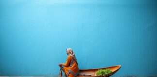 भारत में संस्कृति: एक यात्रा Culture in India: A Journey